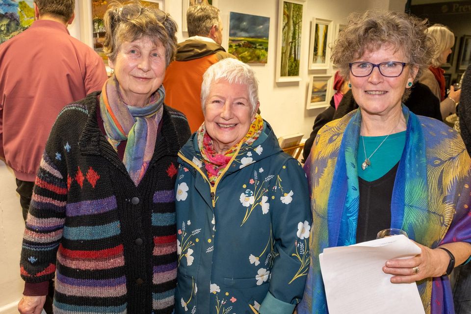 Pictures capture the Bray Artists Circle’s Exhibition at Signal Arts ...