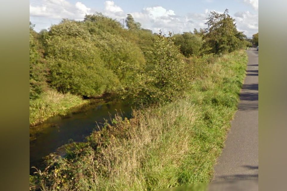 Canal bank in Rhebogue