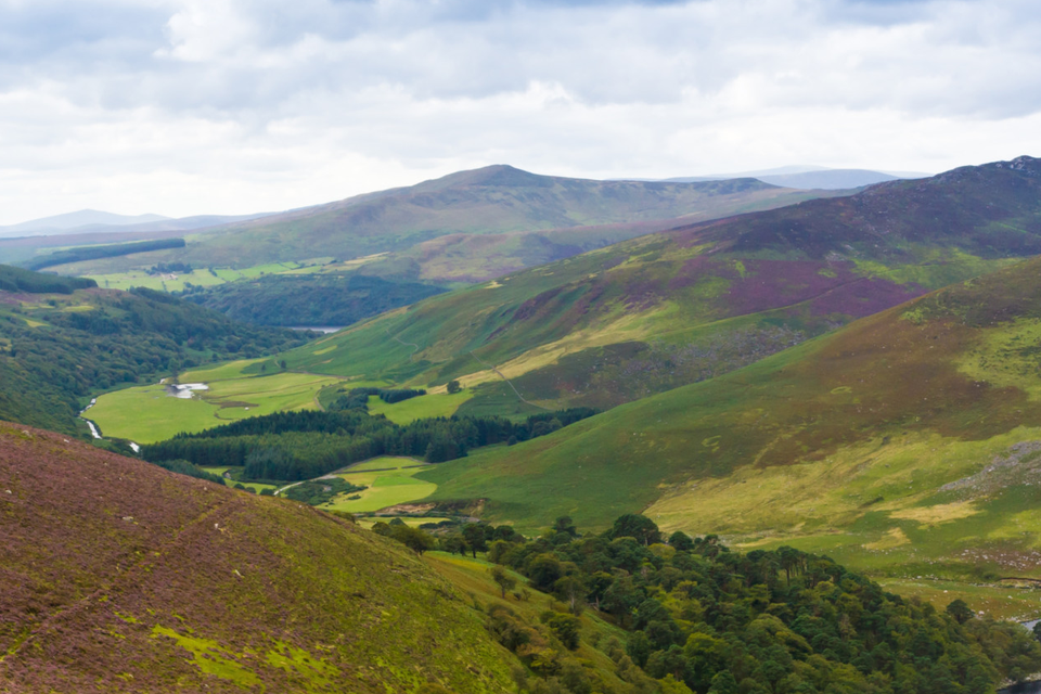 Landscape of Wicklow Mountains, Ireland