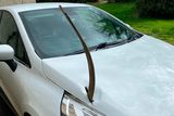 thumbnail: Damage to the car