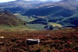 thumbnail: The Wicklow Mountains are vast and sparsely populated