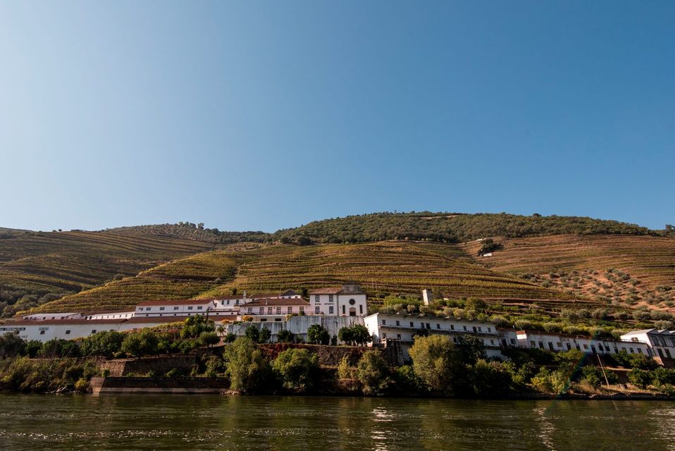 Vineyards along the Douro River, Portugal. PA Photo/Sarah Marshall.