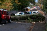 thumbnail: Locals cut up and clear a fallen tree which had been blocking the road for most of the day on the Leixlip Road, near the Salmon Leap Inn this evening after Hurricane Ophelia Picture Colin Keegan, Collins Dublin.