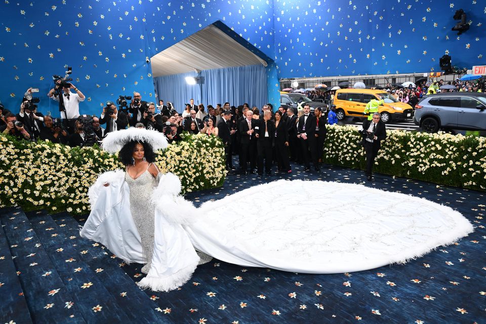 Diana Ross wows crowds at the 2025 Met Gala (Matt Crossick/PA)