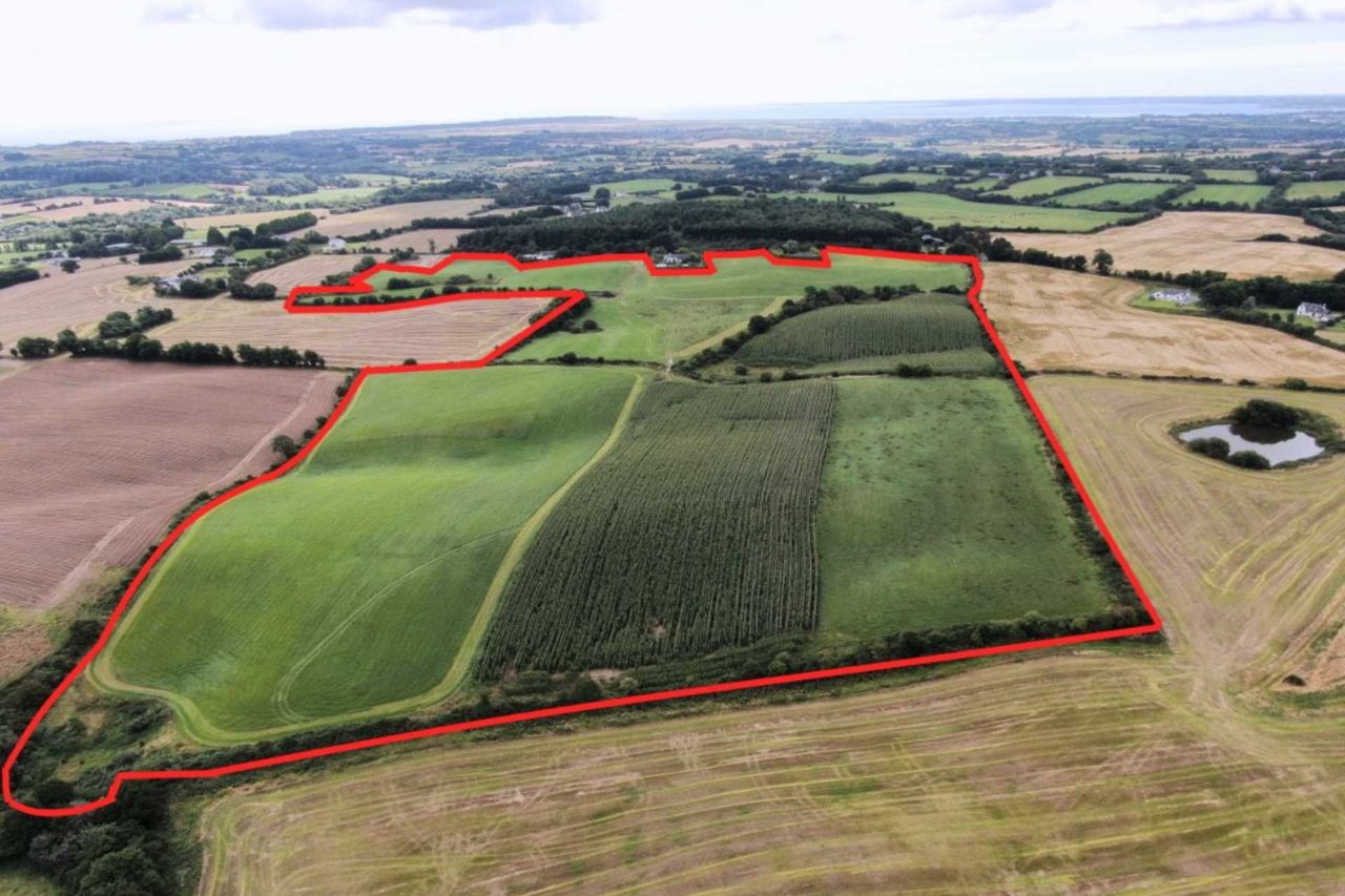 50 acre roadside holding with ‘good frontage’ close to Wexford town up ...