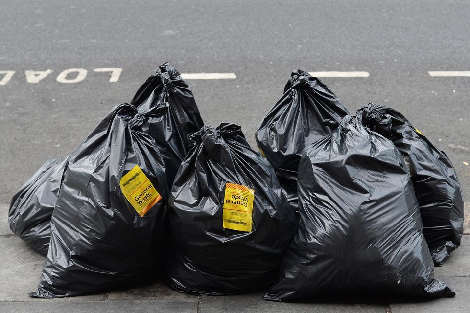 Bin on sale bag bins