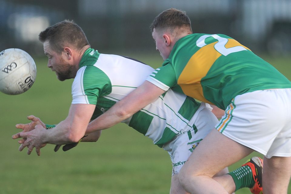 Louth GAA Division 3B reports | Irish Independent