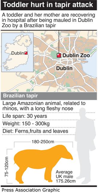 <a href='http://www.independent.ie/editorial/igraphics/0908-IRISH-Zoo.jpg' target='_blank'>Click to see a bigger version  of the graphic</a>