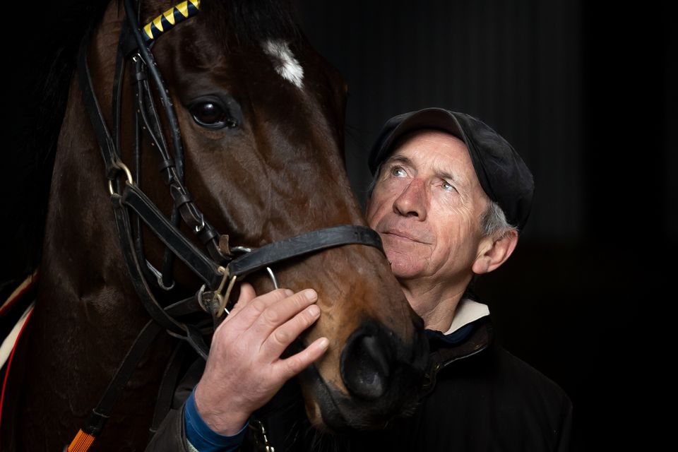 Martin Brassil’s stable star Fastorslow gears up for the Dublin Racing Festival at Leopardstown. Photo: Morgan Treacy/Inpho