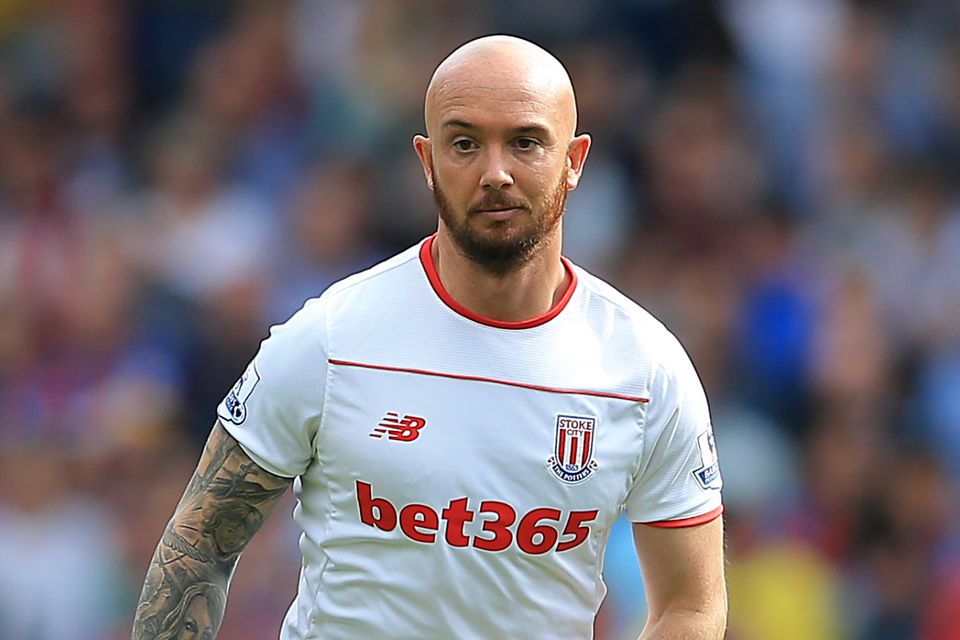 Stephen Ireland suffers a broken leg during Stoke training Irish