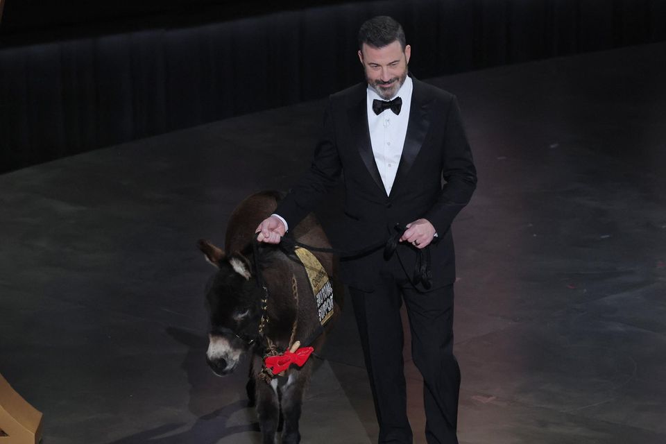 Oscars 2023 Six of the best moments from Jenny the donkey to James