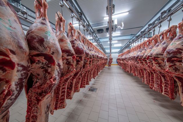 Factories cut again as unsold beef piles up in cold stores