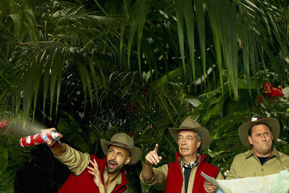 This year's 'I’m A Celebrity…Get Me Out Of Here!' cast. Photo: ITV
