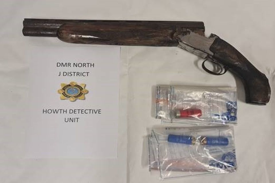 Shotgun, ammunition and two vehicles seized by gardaí in Dublin