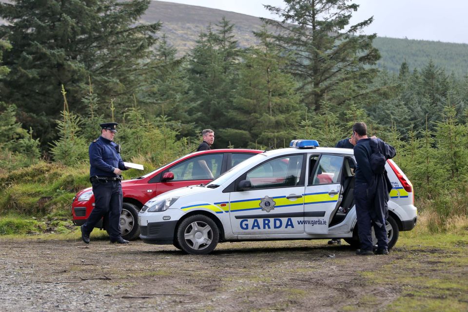 Garda at the scene of the search operation in a wooded area on Ballinascorney Hill. Photo: Colin Keegan