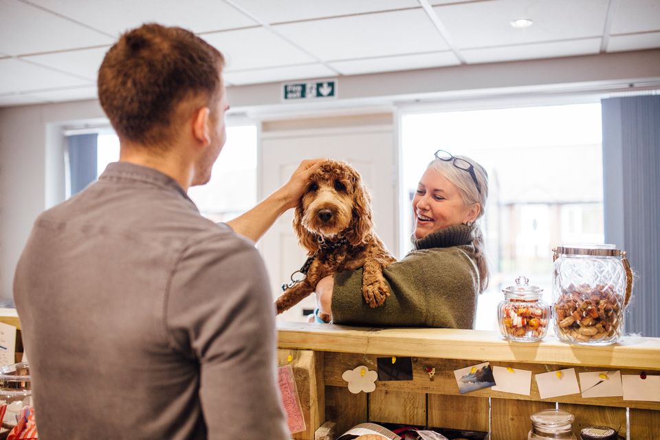 The Kilkenny man is also excited about the prospect of offering other high-margin services, such as doggy day care and pet hotels. Photo: Getty Images