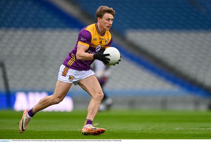 Wexford boss John Hegarty says squad in better place as they prepare to tackle Limerick in Tailteann Cup