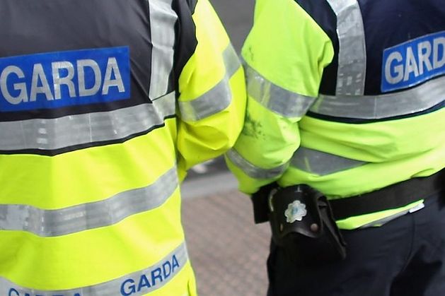 Man arrested for ‘brandishing knife’ banged fists on school bus outside Parnell Square school