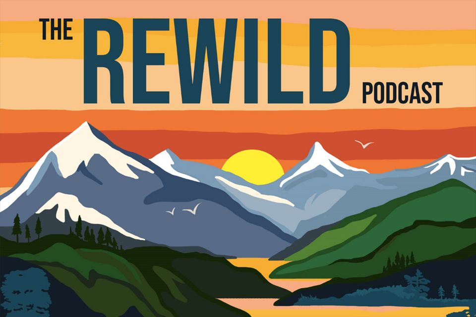 'Rewild Podcast' is hosted by photographer and filmmaker James Shooter