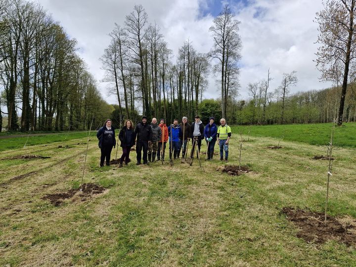 Irish aspen trees planted at JFK Arboretum in Wexford