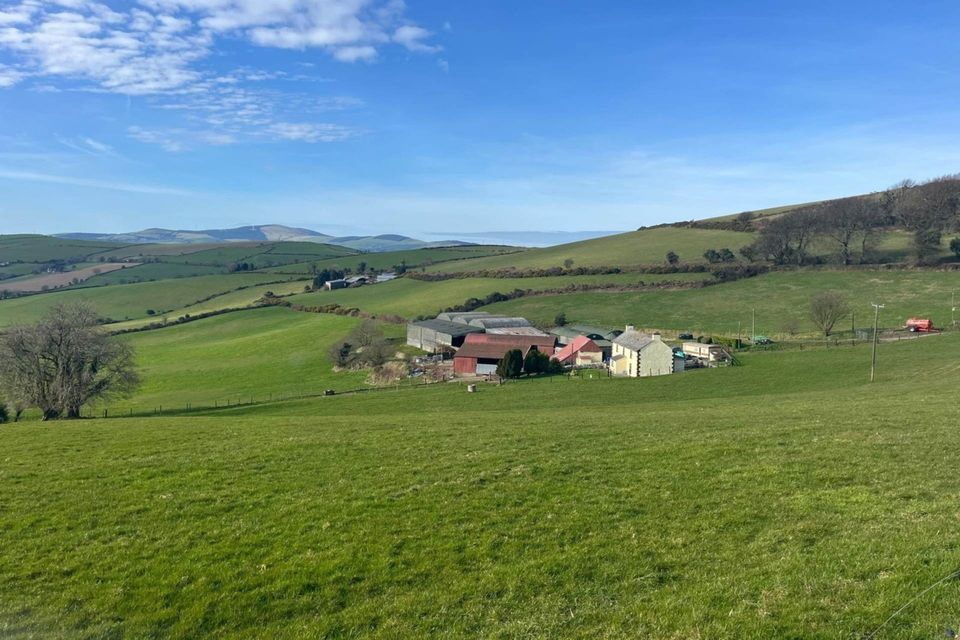 A 93 acre residential holding in Barniskey, Co Wicklow, that sold for €17,000 per acre last month.
