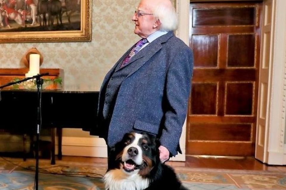 President Michael D Higgins and his dog