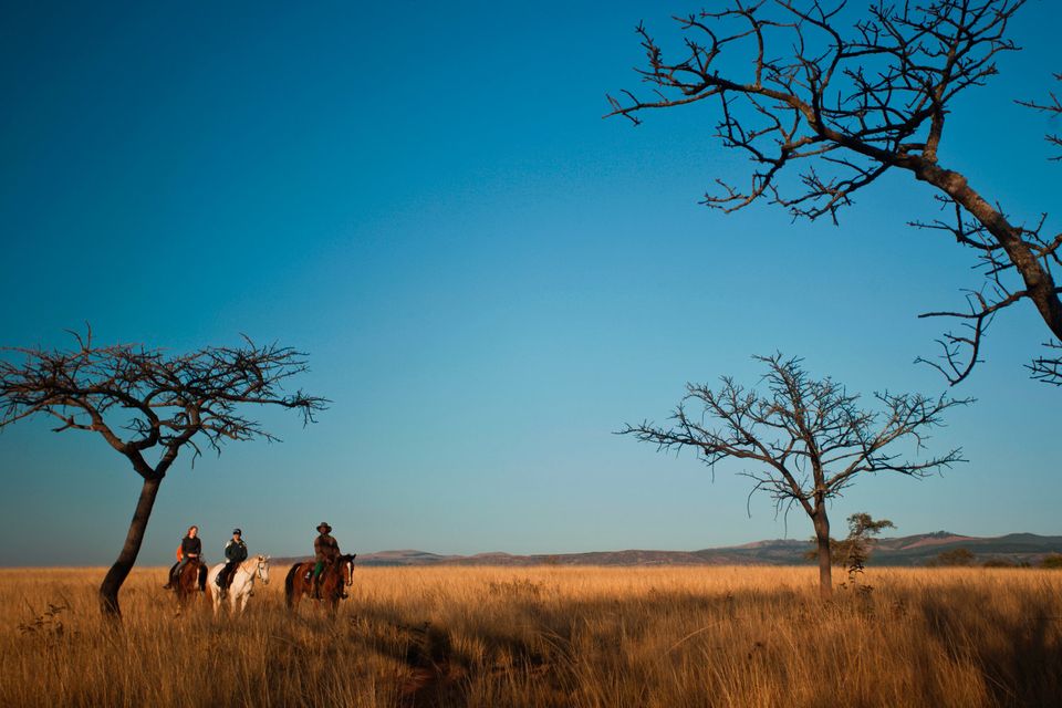 Horseback riding through Savanah in Swaziland