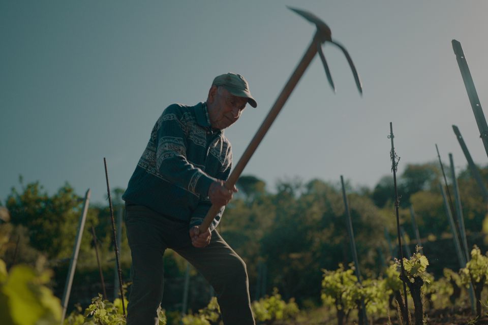 In Live To 100: Secrets Of The Blue Zones, centenarians stay active by gardening or doing some daily activity. Photo: Netflix