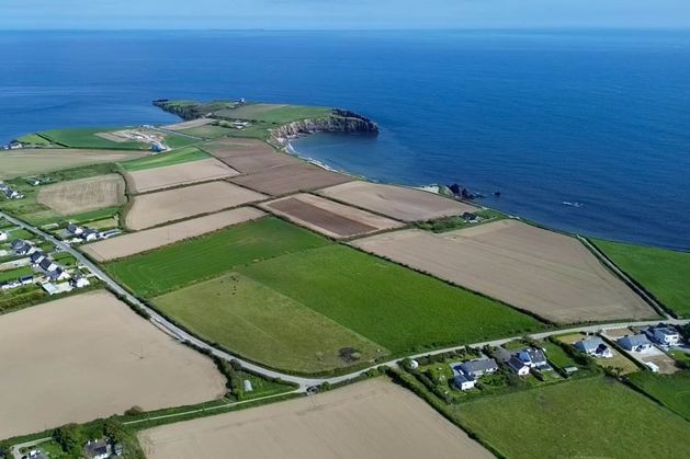 Roadside sites near Wexford coast set to go under the hammer