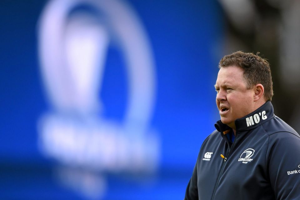Leinster head coach Matt O'Connor