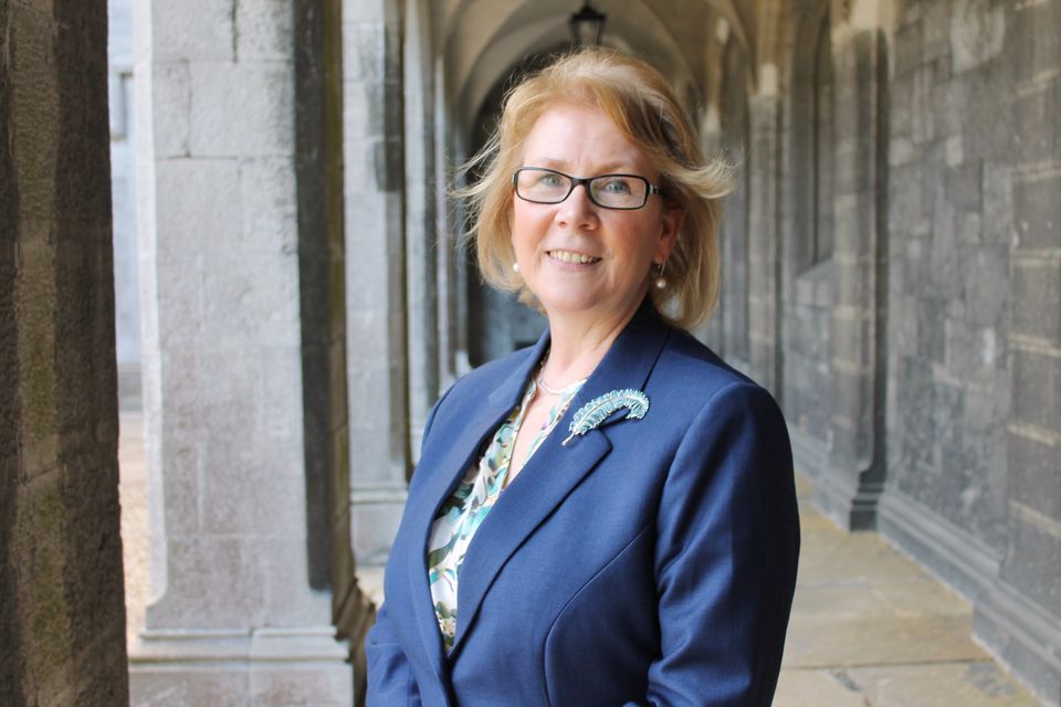  Professor Anne Scott