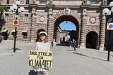thumbnail: Greta Thunberg strikes outside the Swedish parliament in Stockholm. Photo: Reuters/Marie Mannes