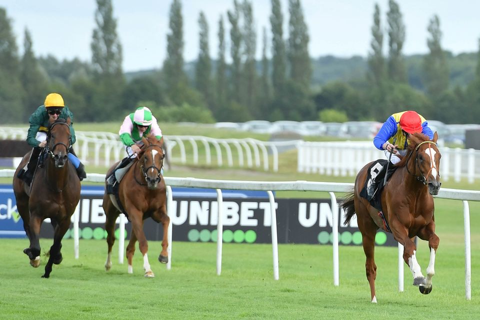 The Frontier British EBF Maiden Stakes at Newbury Racecourse, Newbury. The NEX-listed racecourse reported higher revenues in the first six months of 2019 (PA)