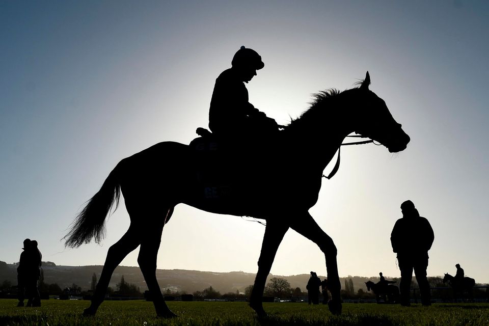 Apple's Jade with Keith Donoghue are watched on the gallops by Gordon Elliott, right, ahead of the Cheltenham Racing Festival at Prestbury Park in Cheltenham, England. Photo by David Fitzgerald/Sportsfile