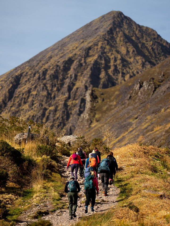 Wander Wild Festival draws 5,000 to Killarney in record-breaking year