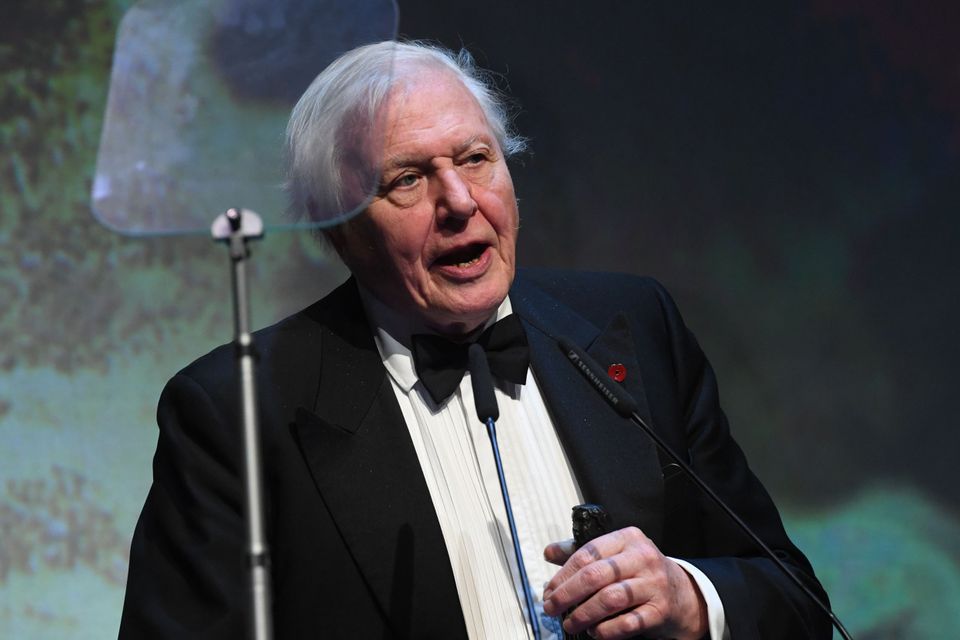 Kirsty Young: Sir David Attenborough Is My Favourite Desert Island 