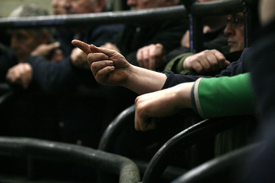 Across Ireland livestock marts remain a cornerstone of rural life. Photos: Brian Farrell