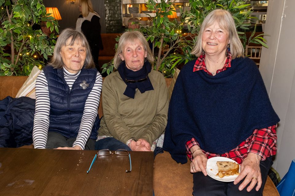 Anne Redman, Liz Wilson and Ann Barton at the  Animal Trust Fund Coffee Morning and Auction at the Wicklow Arms, Delgany. 