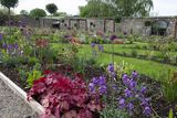 thumbnail: A sea of colour in the walled gardens at Wells House. Pic: Jim Campbell