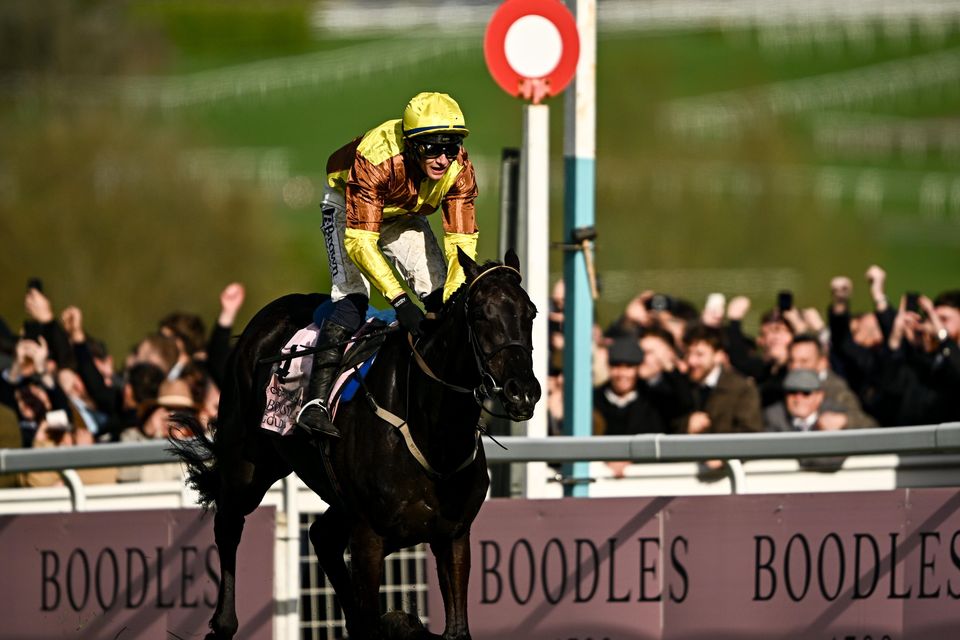 Galopin Des Champs winning the Gold Cup again at the Cheltenham Festival in March. Photo: Harry Murphy/Sportsfile