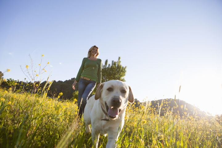 Chrissie Russell: I don’t care if your dog is ‘just being friendly’ – I’ve run out of patience with bad dog owners and their out-of-control mutts