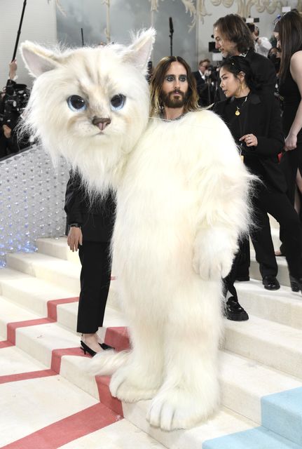 Jared Leto wore a giant white fluffy cat costume (Photo by Evan Agostini/Invision/AP)