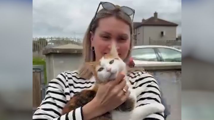 How a TikTok video reunited a Kildare family with missing cat who hitched a ride to Wexford