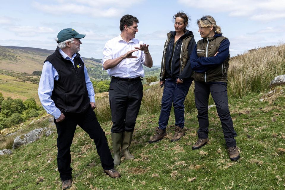 Environment Minister Eamon Ryan at Glenasmole, Co Dublin. Photo: Julien Behal