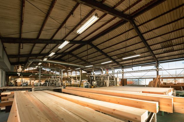 Glennon Bros’ Profits Tumble 23% as Timber Demand Weakens