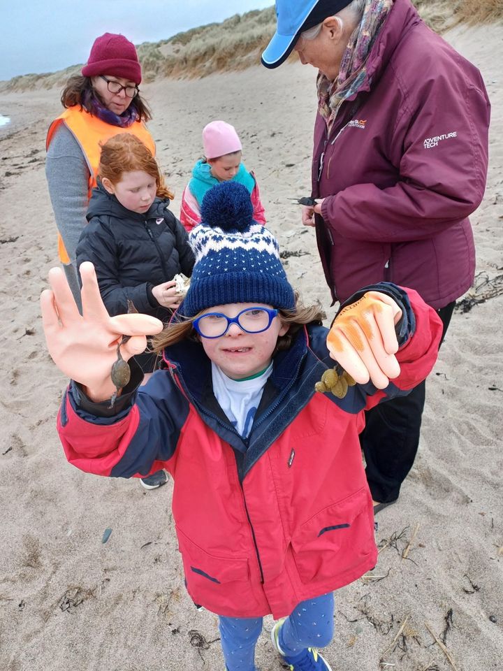 Wexford Easter hunt for shark eggs promises to have a bit more bite