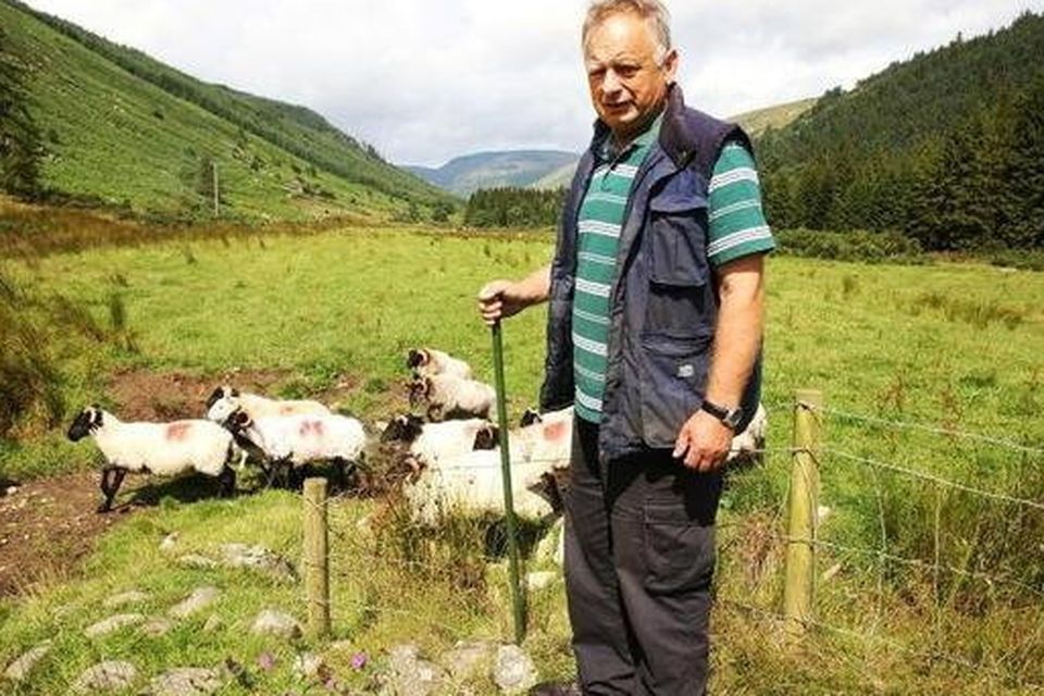 Pat Dunne on his farm in Glenmalure.