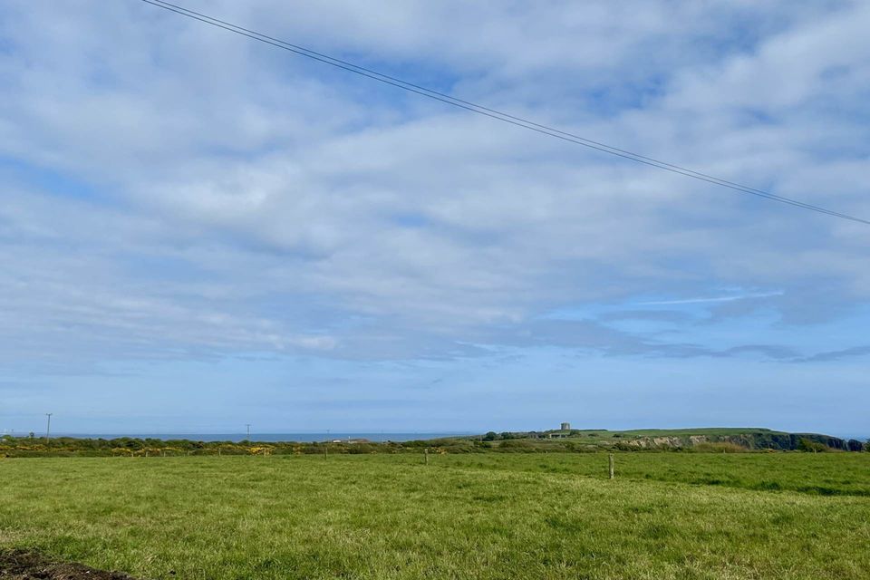 Valuable C. 33.5 Acre roadside coastal holding in one or more lots for sale by online auction on Wednesday, 12th June at 12 noon.