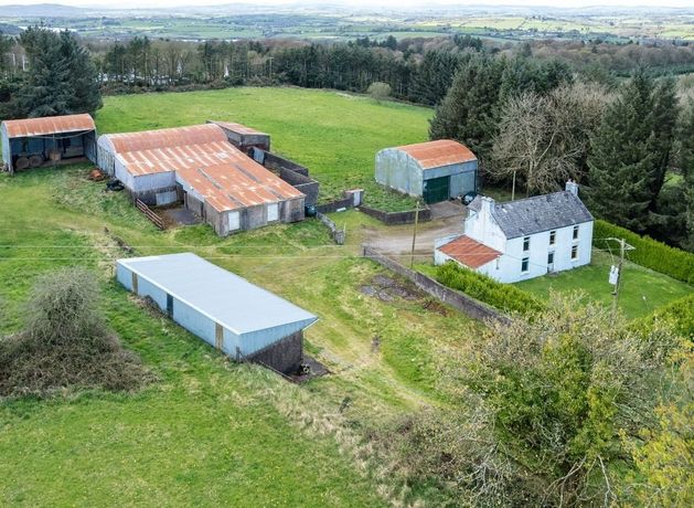 Cork's Coveted Acres: Fierce Bidding War for Ovens Farm Signals Robust Land Market