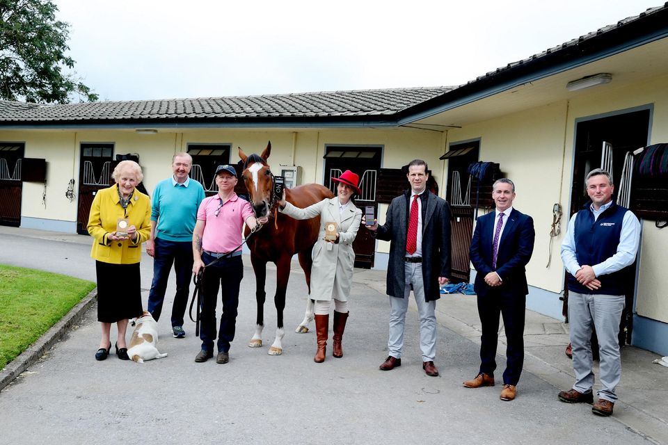 At horse trainer Dermot Weld’s stables in the Curragh, Co Kildare, are (from left) Anna May McHugh, MD, National Ploughing Association; Dermot Weld; Tom Daly, headman; Jennifer Corley, CEO, EquiTrace; Kevin Corley, co-founder, EquiTrace; Damien English, Minister of State for Business;, Employment and Retail; and James Maloney, Senior Regional Development Executive, Enterprise Ireland. Picture by Maxwells